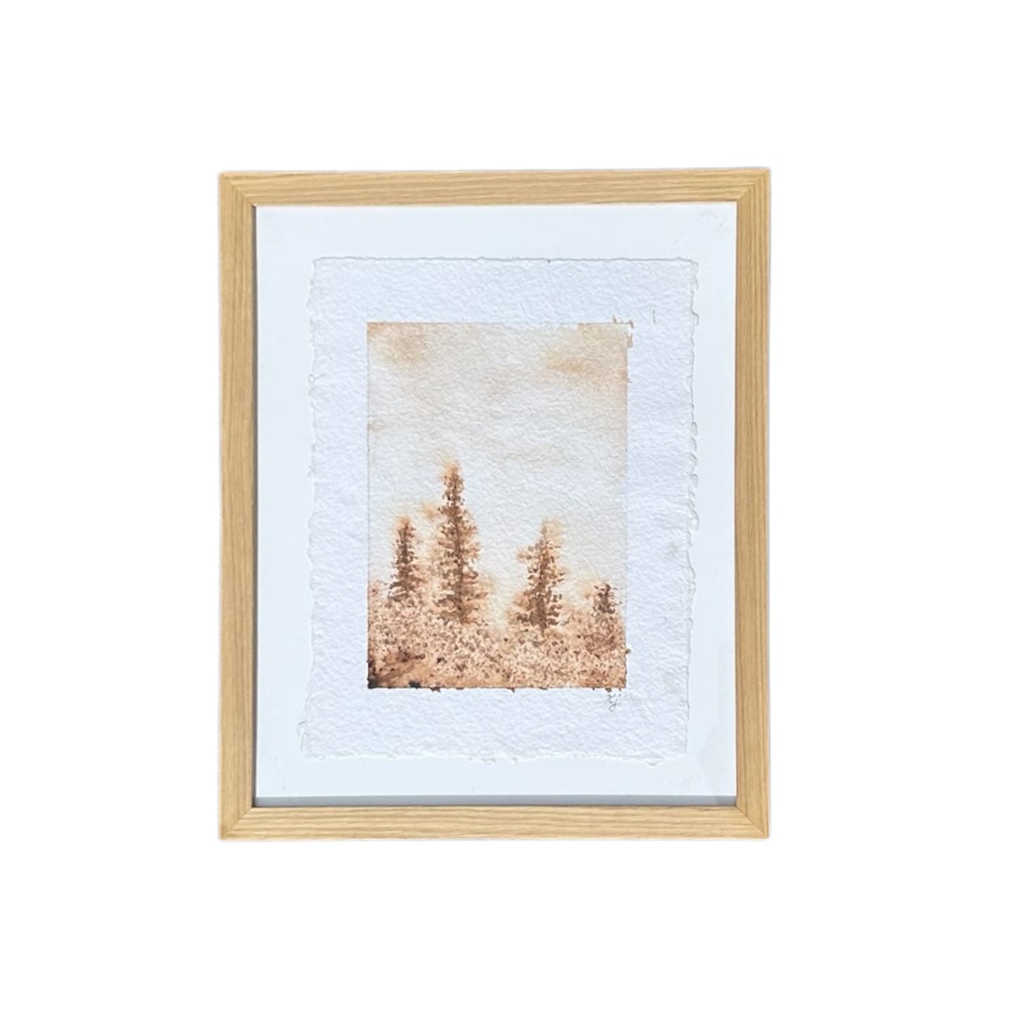 Montana Series I
