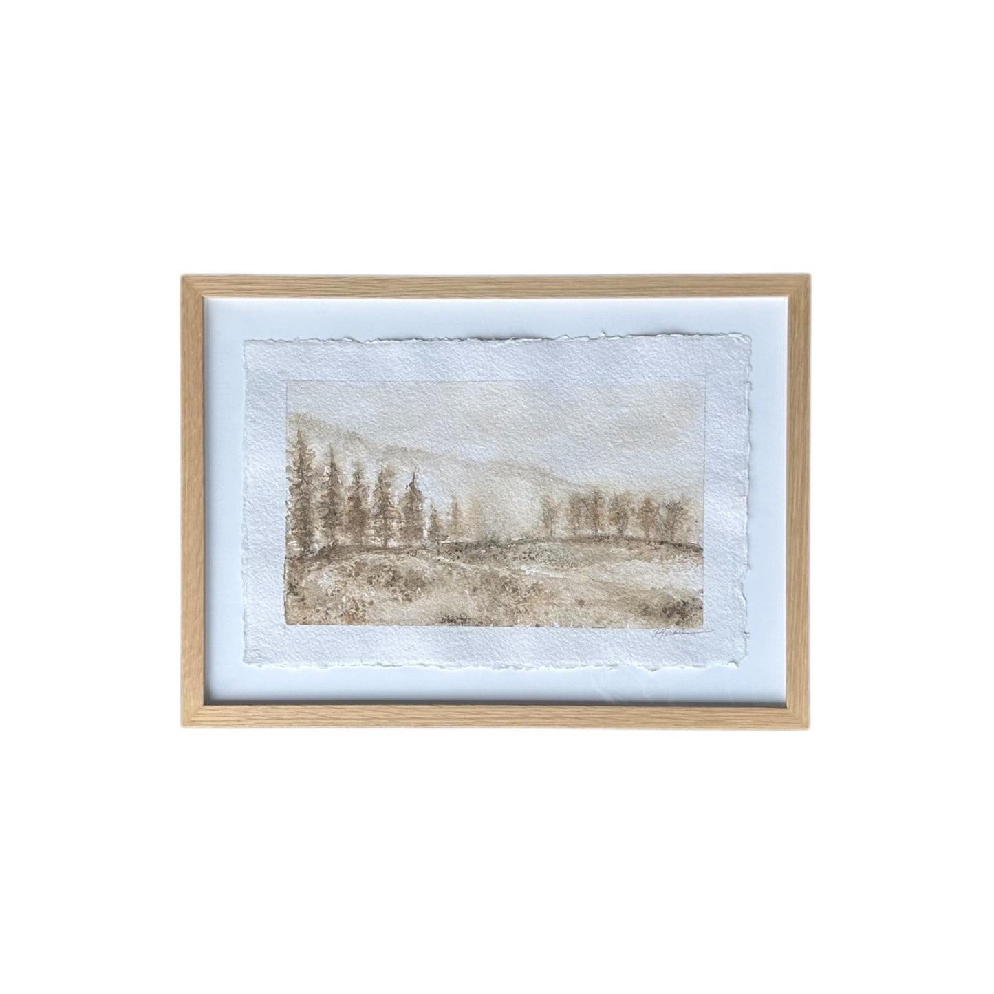 Montana Series IV