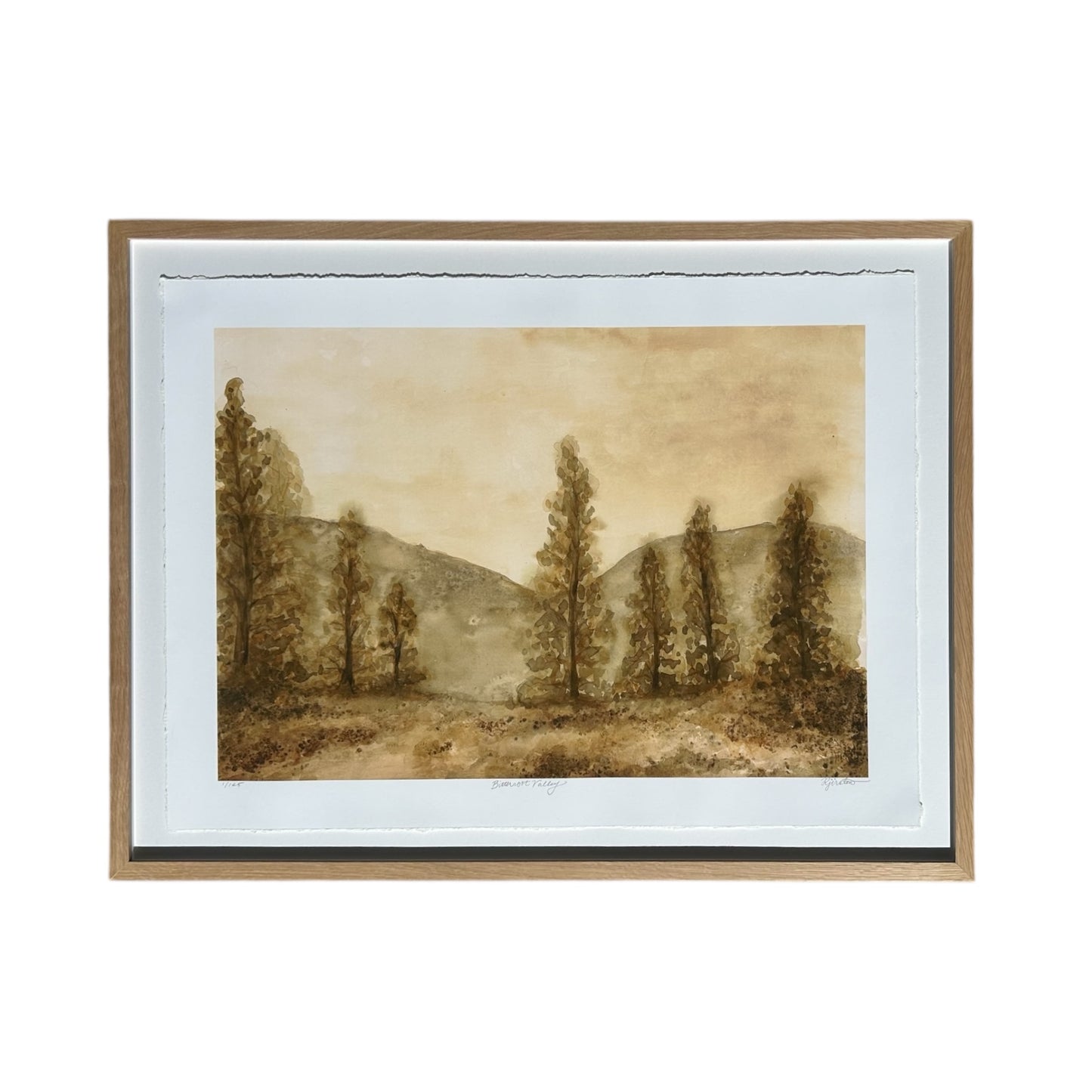 Bitterroot Valley - Framed
