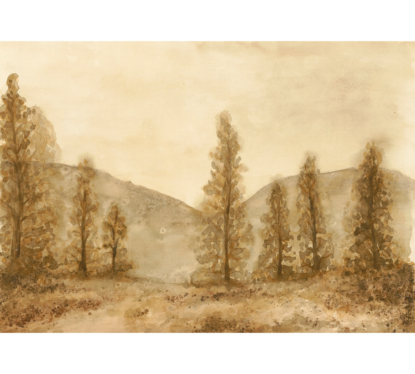 Bitterroot Valley