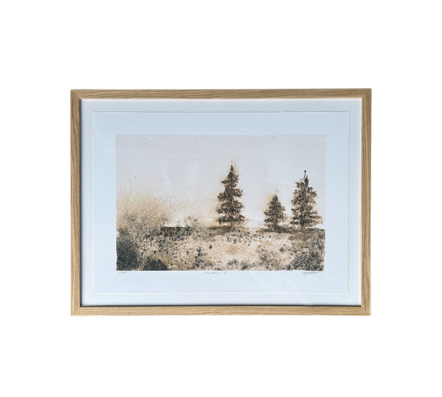 Montana Series: II - Framed