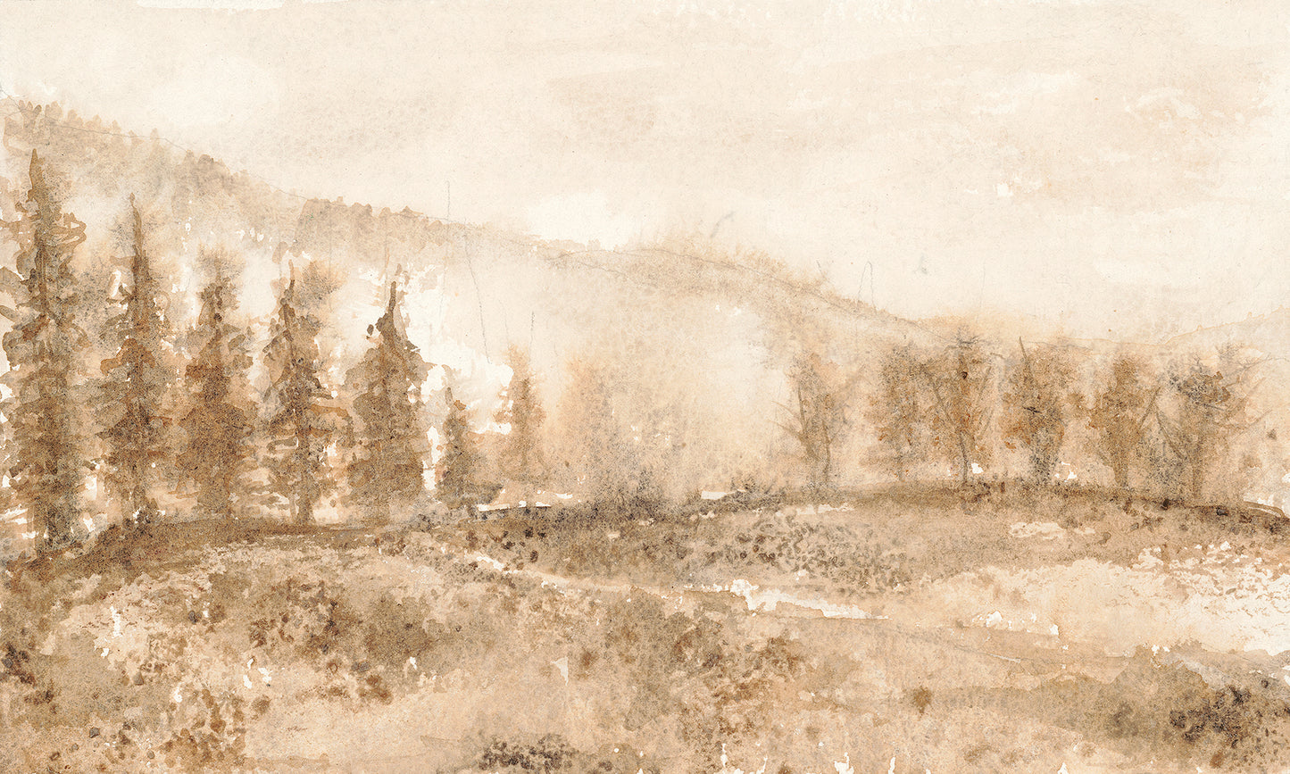 Montana Series: IV