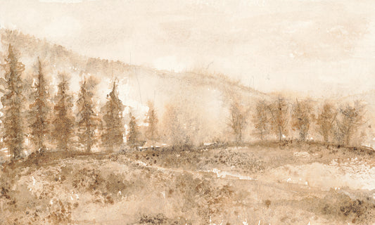 Montana Series: IV