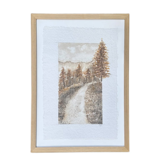 Montana Series V
