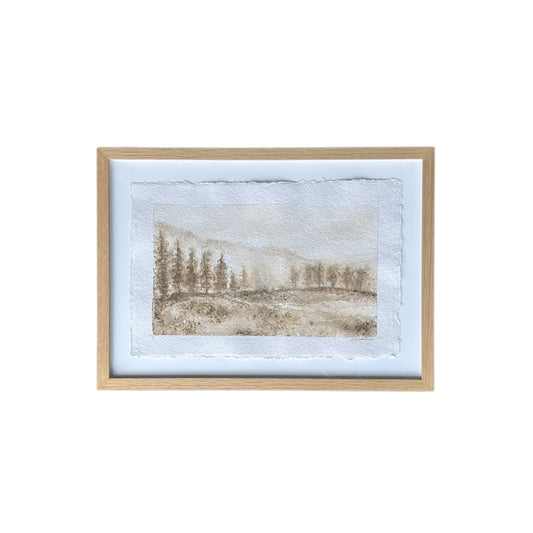Montana Series IV