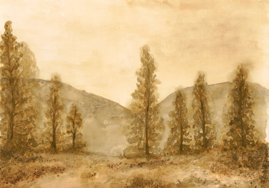 Bitterroot Valley