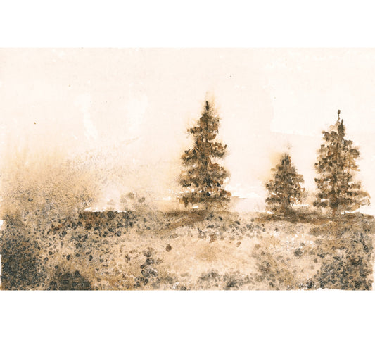Montana Series: II