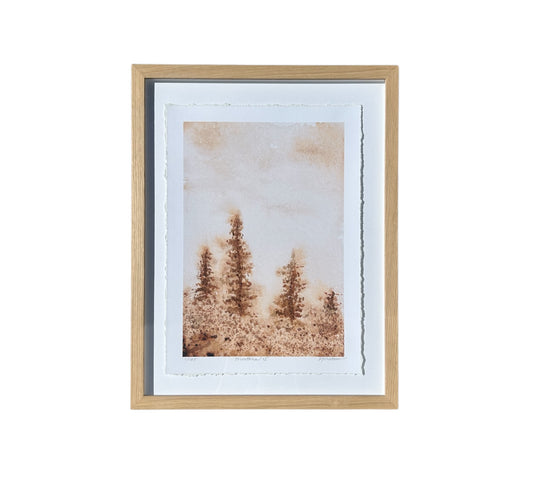 Montana Series: I - Framed