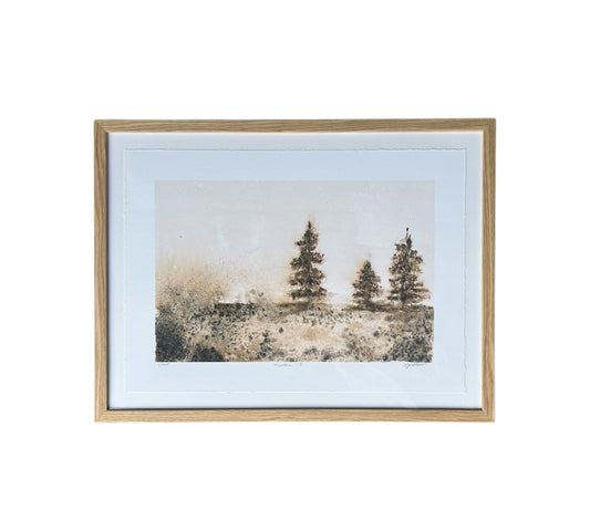 Montana Series: II - Framed