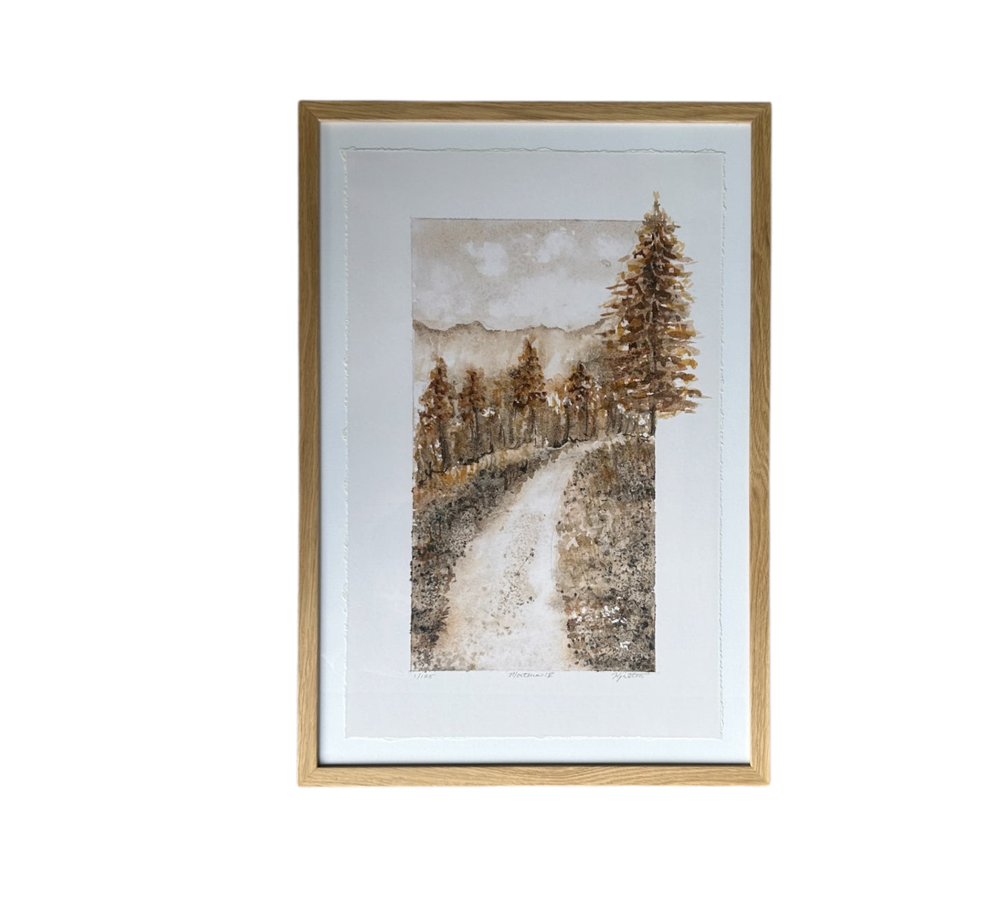 Montana Series: V - Framed