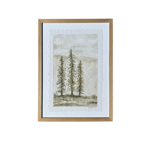Paradise Valley Series: I