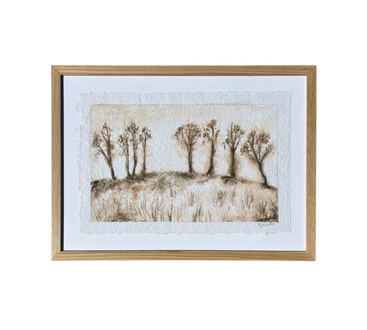 Paradise Valley Series: II